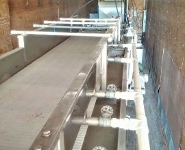 Ligne de lavage pour Edamames