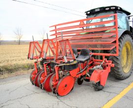 Transplanteur Checchi Magli 3 rangs (#2)