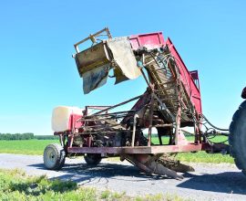 Récolteuse Herriau 2411-A pour légumes-racines