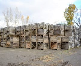 Lot of wooden boxes for cabbage