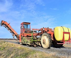 Matrot Chicory or Root Vegetable Harvester