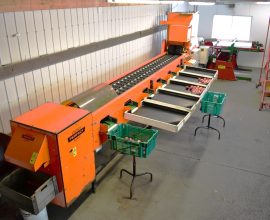 Perfect optical grader for round fruit or vegetable