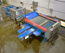 7-piece washing and grading line