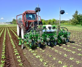 Roto-sarcleur Robocrop Inrow 6 rangs