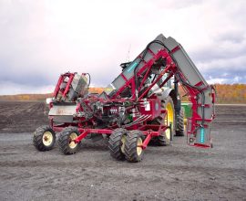 Univerco G2 Carrot harvester