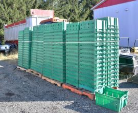 Green Harvest Containers (200)