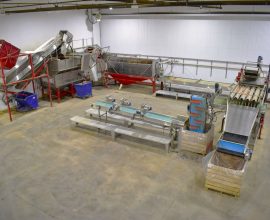 Ensemble complet de lavage-calibrage-emballage en inox pour carottes