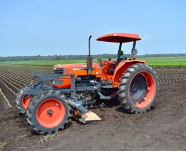 Tractor and weeders Comeb for onions