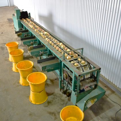 Weigher-grader for onion/apple