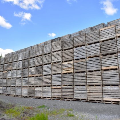 Lot de boîtes (630) pour carottes/oignons