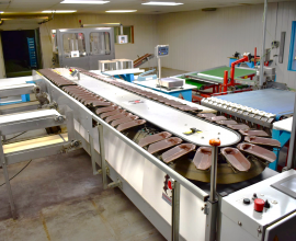 Fonds de commerce production d'endives