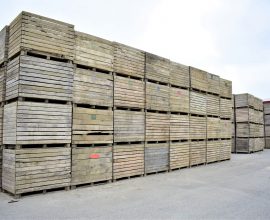 Lot of Wooden Boxes (+-152 units)