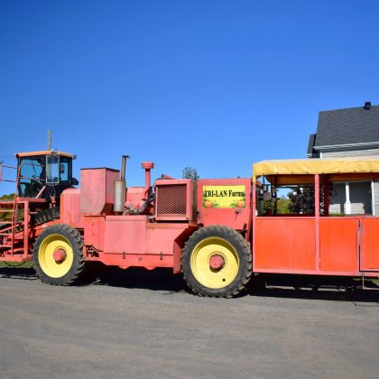 Pumpkin Harvester-Washer