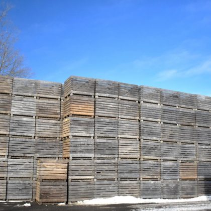 Lot de boîtes 48 x 48 x 40 (300)