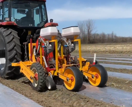 Ferris Polyplanter for sweet corn