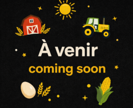 Équipements à venir prochainement (lire la description)