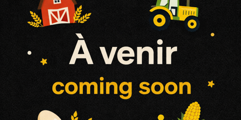 Équipements à venir prochainement (lire la description)