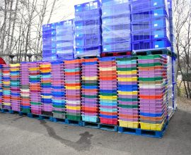 Lot of 710 sturdy fruit harvesting or storage bins
