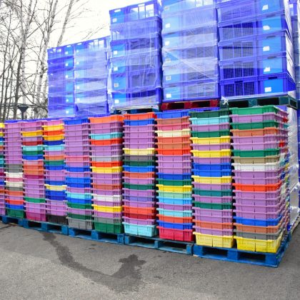 Lot de bacs (710) solide pour cueillette ou entreposage de fruits