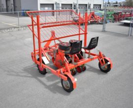 Checchi magli fast wolf transplanter
